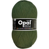 Green skein of yarn with Opal label on a white background