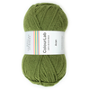 Green skein of yarn with a ColourLab label on a white background